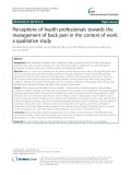 Perceptions of health professionals towards the management of back pain in the context of work: a qualitative study