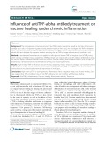 Influence of antiTNF-alpha antibody treatment on fracture healing under chronic inflammation