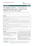The fabella syndrome - a rare cause of posterolateral knee pain: A review of the literature and two case reports