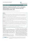 Influence of glucocorticoids on the osteogenic differentiation of rat bone marrow-derived mesenchymal stem cells