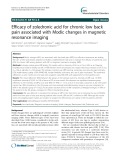 Efficacy of zoledronic acid for chronic low back pain associated with Modic changes in magnetic resonance imaging