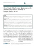 Clinical study of the Pronator Quadratus muscle: Anatomical features and feasibility of Pronator-Sparing Surgery
