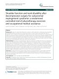 Shoulder function and work disability after decompression surgery for subacromial impingement syndrome: A randomised controlled trial of physiotherapy exercises and occupational medical assistance