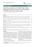 Early tissue responses to zoledronate, locally delivered by bone screw, into a compromised cancellous bone site: A pilot study