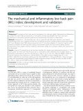 The mechanical and inflammatory low back pain (MIL) index: Development and validation