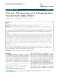 Outcomes following large joint arthroplasty: Does socio-economic status matter