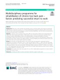 Multidisciplinary programme for rehabilitation of chronic low back pain – factors predicting successful return to work