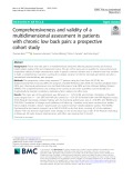 Comprehensiveness and validity of a multidimensional assessment in patients with chronic low back pain: A prospective cohort study