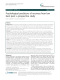 Psychological predictors of recovery from low back pain: A prospective study