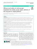 Efficacy and safety of arthroscopic treatment for native acute septic arthritis of the hip joint in adult patients