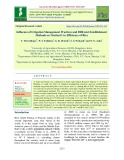 Influence of irrigation management practices and different establishment methods on nutrient use efficiency of rice