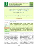 Evaluation of fungicides and bioformulations against Ustilaginoidea virens causing rice false smut disease