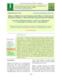 Influence of different levels of irrigation and fertilizers on yield and cost economics of papaya (cv. Red Lady) under open and protected condition