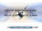 Bài giảng Các chế phẩm thuốc lá đặc biệt: Thuốc lá điện tử, shisha, các sản phẩm thuốc lá đặc biệt