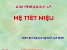 Bài giảng Giải phẫu sinh lý: Hệ tiết niệu - BS.CKI. Nguyễn Văn Thịnh