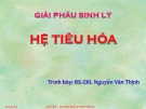 Bài giảng Giải phẫu sinh lý: Hệ tiêu hóa - BS.CKI. Nguyễn Văn Thịnh