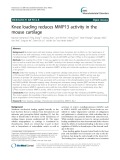 Knee loading reduces MMP13 activity in the mouse cartilage