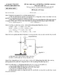Đề thi học sinh giỏi môn Hóa học lớp 10 cấp trường năm 2020-2021 có đáp án - Trường THPT Đồng Đậu, Vĩnh Phúc