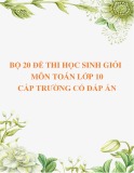 Bộ 20 đề thi học sinh giỏi môn Toán lớp 10 cấp trường năm 2020-2021 có đáp án