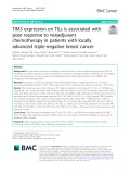 TIM3 expression on TILs is associated with poor response to neoadjuvant chemotherapy in patients with locally advanced triple-negative breast cancer