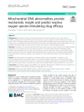 Mitochondrial DNA abnormalities provide mechanistic insight and predict reactive oxygen species-stimulating drug efficacy
