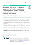 Mesothelin blockage by Amatuximab suppresses cell invasiveness, enhances gemcitabine sensitivity and regulates cancer cell stemness in mesothelin-positive pancreatic cancer cells