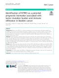 Identification of NTRK3 as a potential prognostic biomarker associated with tumor mutation burden and immune infiltration in bladder cancer