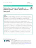 Statistical and bioinformatic analysis of hemimethylation patterns in non-small cell lung cancer