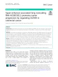 Super-enhancer-associated long noncoding RNA AC005592.2 promotes tumor progression by regulating OLFM4 in colorectal cancer