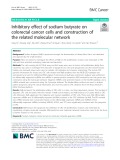 Inhibitory effect of sodium butyrate on colorectal cancer cells and construction of the related molecular network