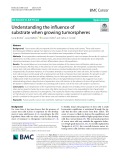 Understanding the influence of substrate when growing tumorspheres