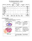 Đề cương ôn tập học kì 1 môn Sinh học lớp 10 năm 2020-2021 - Trường THPT Uông Bí