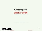 Bài giảng Đầu tư tài chính: Chương 10 - PGS.TS Trần Thị Thái Hà