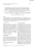 Dihydrostilbene glycosides and lignan from Camellia sasanqua