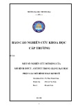 Đề tài nghiên cứu khoa học cấp trường: Một số nghiên cứu mở rộng của mô hình Input - Output trong giảng dạy học phần Các mô hình Toán Kinh Tế