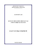 Luận văn Thạc sĩ Kinh tế: Quản lý chất lượng nhân lực tại Công ty Điện lực Hà Nam
