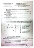 Đề thi học sinh giỏi môn Sinh học lớp 9 cấp huyện năm 2020-2021 - Phòng GD&ĐT Sơn Dương