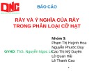 Bài thuyết trình Công nghệ sản xuất dược phẩm: Rây và ý nghĩa của rây trong phân loại cỡ hạt