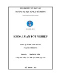 Khóa luận tốt nghiệp Quản trị kinh doanh: Hoàn thiện hệ thống kênh phân phối tại Trung tâm kinh doanh VNPT – Vinaphone Hải Phòng