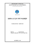 Khóa luận tốt nghiệp Kế toán - Kiểm toán: Hoàn thiện công tác kế toán hàng hóa tại Công ty TNHH thương mại Hoàng Hiến