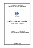 Khóa luận tốt nghiệp Kế toán – Kiểm toán: Hoàn thiện tổ chức công tác kế toán doanh thu, chi phí và xác định kết quả kinh doanh tại Công ty cổ phần vận tải biển Đức Thịnh