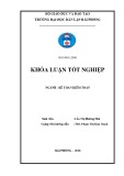 Khóa luận tốt nghiệp Kế toán – Kiểm toán: Hoàn thiện công tác lập và phân tích bảng cân đối kế toán tại Công ty CP thiết bị phụ tùng Hải Phòng