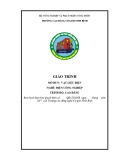 Giáo trình Vật liệu điện (Nghề: Điện công nghiệp-CĐ) - CĐ Cơ Giới Ninh Bình