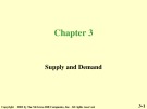 Lecture Economics (6/e): Chapter 3 - Stephen L. Slavin