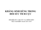 Bài giảng Kháng sinh dùng trong hồi sức tích cực