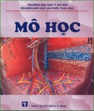 Tổng quan về mô học: Phần 2