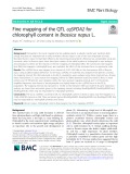 Fine mapping of the QTL cqSPDA2 for chlorophyll content in Brassica napus L.