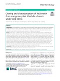 Cloning and characterization of KoOsmotin from mangrove plant Kandelia obovata under cold stress