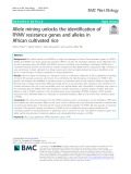 Allele mining unlocks the identification of RYMV resistance genes and alleles in African cultivated rice