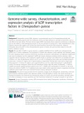 Genome-wide survey, characterization, and expression analysis of bZIP transcription factors in Chenopodium quinoa
